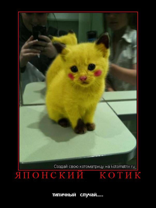 японский котик типичный случай........ Котоматрица: японский котик типичный случай.....