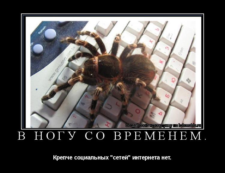 Котоматрица: В НОГУ СО ВРЕМЕНЕМ. Крепче социальных "сетей" интернета нет.