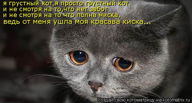 Котоматрица: я грустный кот,я просто грустный кот. и не смотря на то,что нет забот и не смотря на то что полна миска, ведь от меня ушла моя красава киска...
