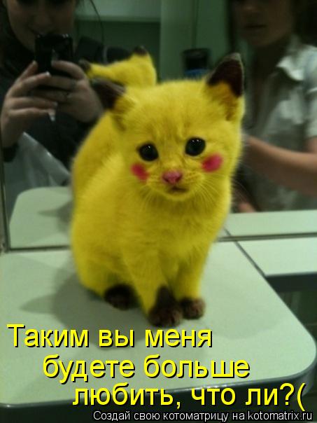 Котоматрица: Таким вы меня будете больше  любить, что ли?(
