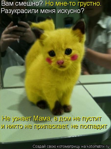 Котоматрица: Вам смешно? Но мне-то грустно. Разукрасили меня искусно? Не узнает Мама, в дом не пустит и никто не приласкает, не погладит