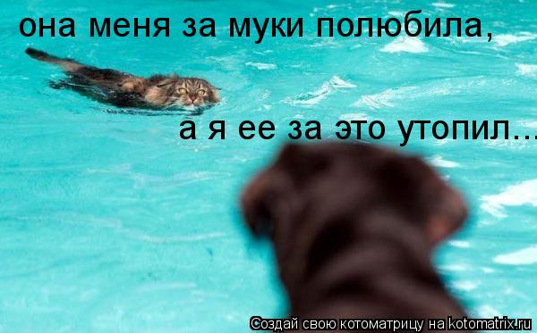 Котоматрица: она меня за муки полюбила,  а я ее за это утопил...