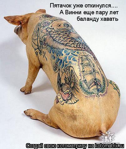 Котоматрица: Пятачок уже откинулся.... А Винни еще пару лет баланду хавать