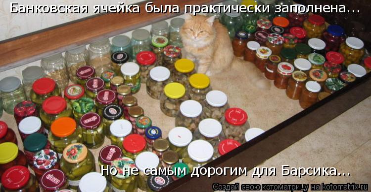 Котоматрица: Банковская ячейка была практически заполнена...  Но не самым дорогим для Барсика...