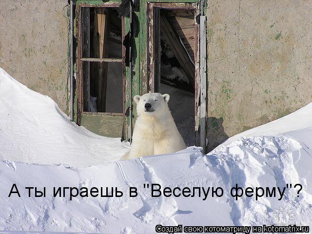 Котоматрица: А ты играешь в "Веселую ферму"?