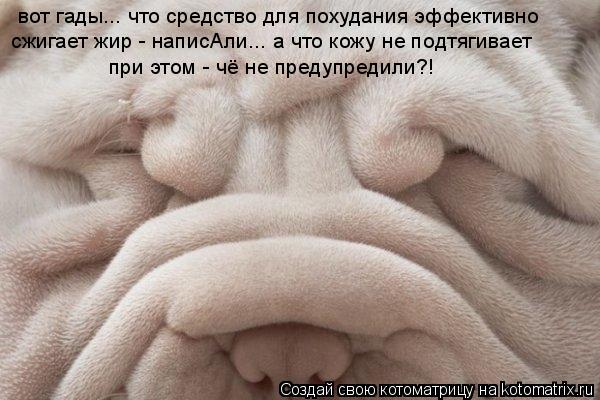 Котоматрица: вот гады... что средство для похудания эффективно сжигает жир - написАли... а что кожу не подтягивает при этом - чё не предупредили?!