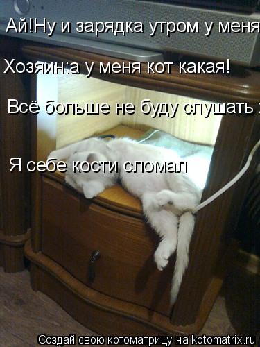 Котоматрица: Ай!Ну и зарядка утром у меня! Хозяин:а у меня кот какая! Всё больше не буду слушать хозяина Я себе кости сломал