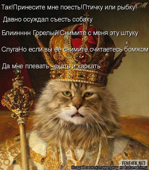 Так!Принесите мне поесть!Птичку или рыбку! Давно осуждал съесть собаку Блиинннн Горелый!Снимите с мен... Котоматрица: Так!Принесите мне поесть!Птичку или рыбку! Давно осуждал съесть собаку Блиинннн Горелый!Снимите с меня эту штуку СлугаНо если вы её снимите