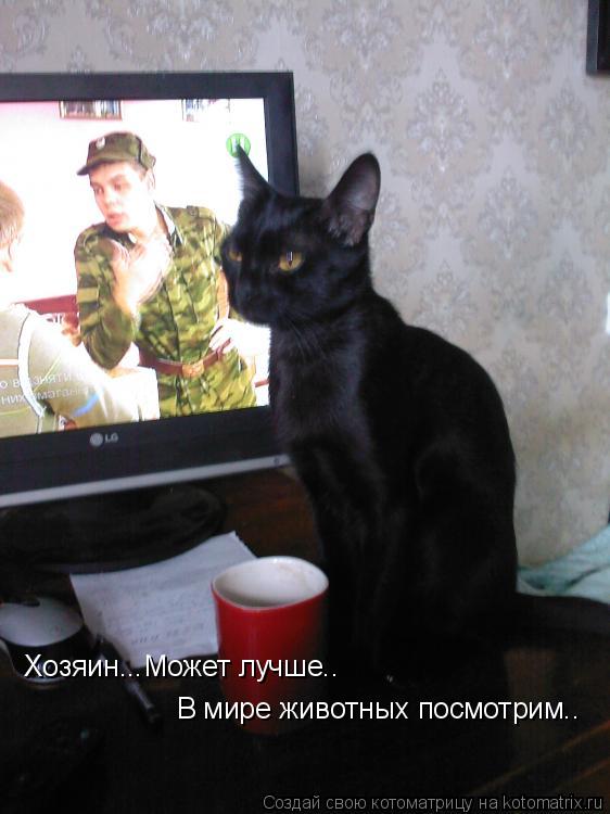 Котоматрица: Хозяин...Может лучше.. В мире животных посмотрим..