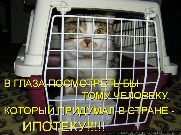 Котоматрица: КОТОРЫЙ ПРИДУМАЛ В СТРАНЕ -  ТОМУ ЧЕЛОВЕКУ, В ГЛАЗА ПОСМОТРЕТЬ БЫ ИПОТЕКУ!!!!!
