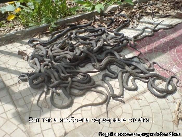 Котоматрица: Вот так и изобрели серверные стойки...