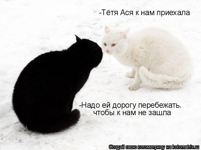 Котоматрица: -Тётя Ася к нам приехала -Надо ей дорогу перебежать , чтобы к нам не зашла