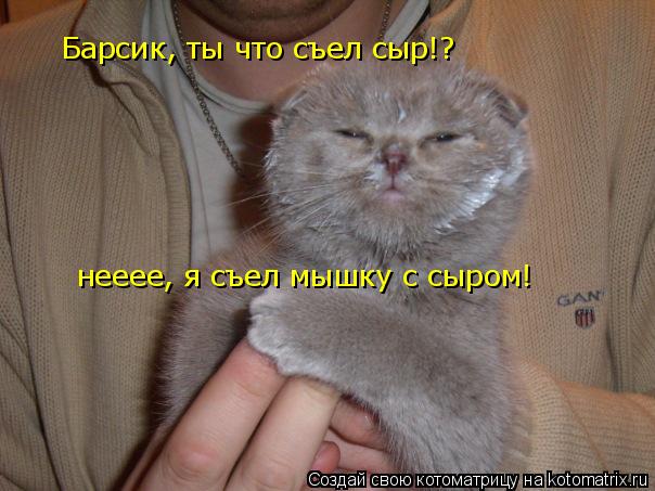 Котоматрица: Барсик, ты что съел сыр!? нееее, я съел мышку с сыром!