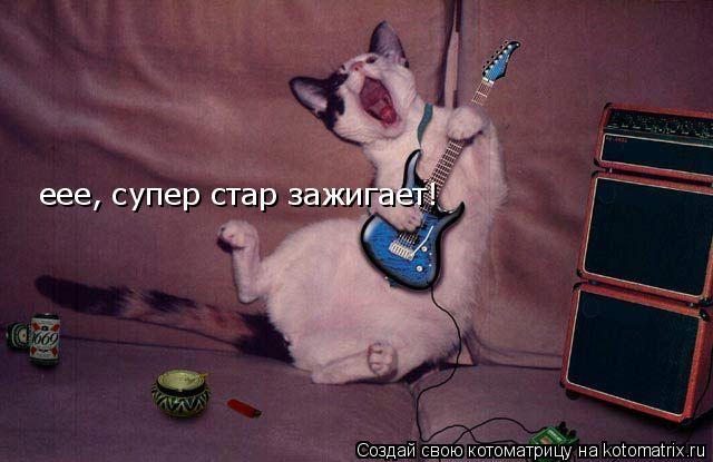 Котоматрица: еее, супер стар зажигает!