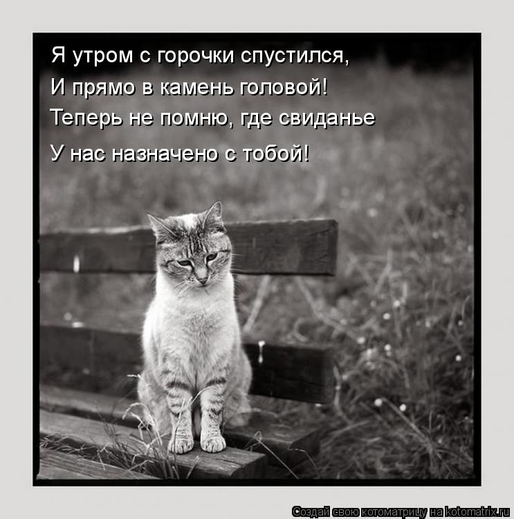 Я утром с горочки спустился, И прямо в камень головой! Теперь не помню, где свиданье У нас назначено ... Котоматрица: Я утром с горочки спустился, И прямо в камень головой! Теперь не помню, где свиданье У нас назначено с тобой! У нас назначено с тобой!