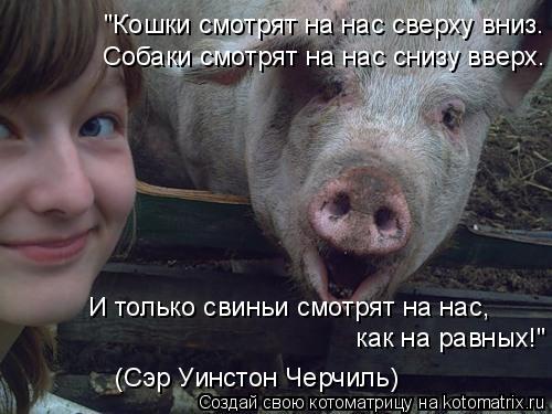 Котоматрица: "Кошки смотрят на нас сверху вниз. Собаки смотрят на нас снизу вверх. И только свиньи смотрят на нас, как на равных!" (Сэр Уинстон Черчиль)