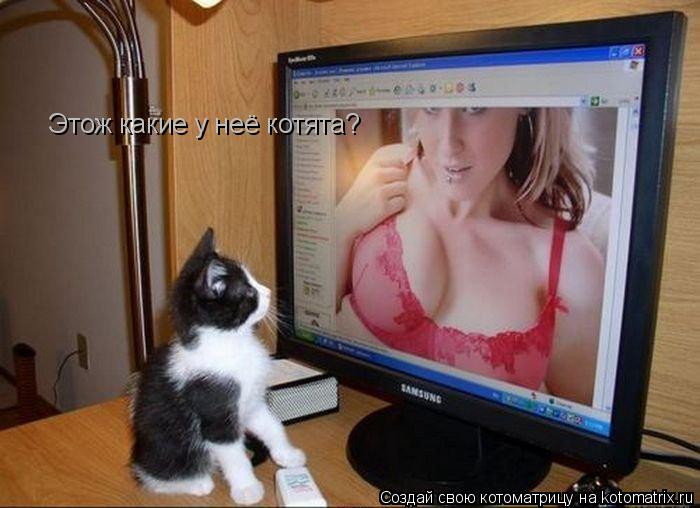Этож какие у неё котята?... Котоматрица: Этож какие у неё котята?