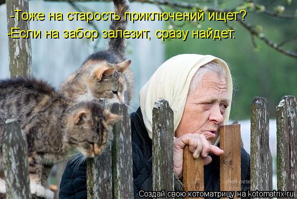 Котоматрица: -Тоже на старость приключений ищет? -Если на забор залезит, сразу найдет.