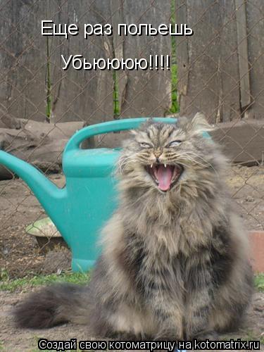 Котоматрица: Еще раз польешь Убьюююю!!!!