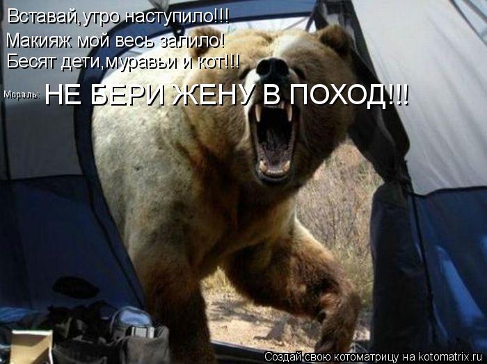 Котоматрица: Вставай,утро наступило!!! Макияж мой весь залило! Мораль: НЕ БЕРИ ЖЕНУ В ПОХОД!!! Бесят дети,муравьи и кот!!!