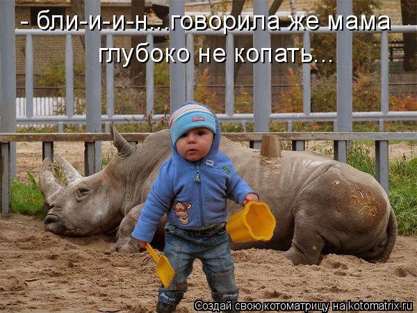 Котоматрица: - бли-и-и-н...говорила же мама глубоко не копать...