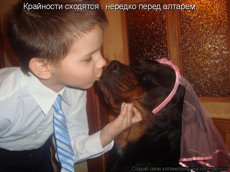 Котоматрица: Крайности сходятся — нередко перед алтарем.