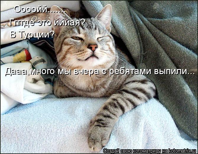 Котоматрица: Оооойй....... Ггггде это йййая? В Турции? Дааа,много мы вчера с ребятами выпили...