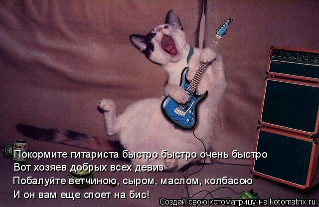Котоматрица: Покормите гитариста быстро быстро очень быстро Вот хозяев добрых всех девиз Побалуйте ветчиною, сыром, маслом, колбасою И он вам еще споет 