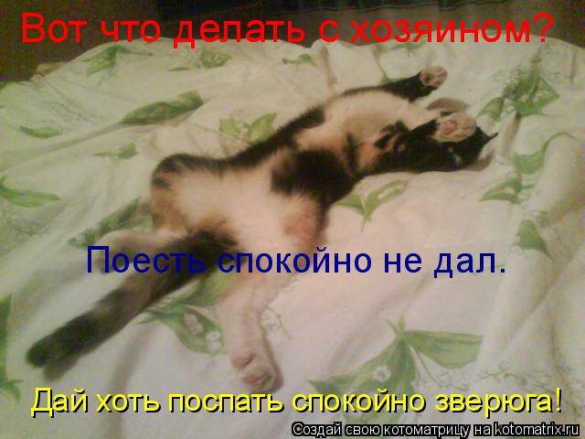 Котоматрица: Вот что делать с хозяином? Поесть спокойно не дал. Дай хоть поспать спокойно зверюга!