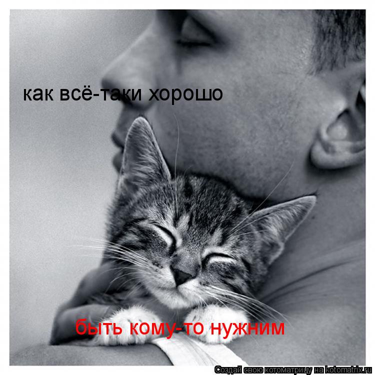 Котоматрица: как всё-таки хорошо быть кому-то нужним