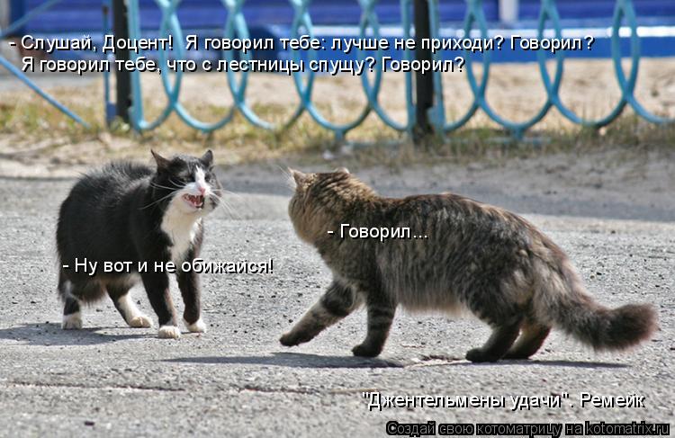 Котоматрица: - Ну вот и не обижайся!  - Говорил...  - Слушай, Доцент!  Я говорил тебе: лучше не приходи? Говорил? Я говорил тебе, что с лестницы спущу? Говорил? "Д