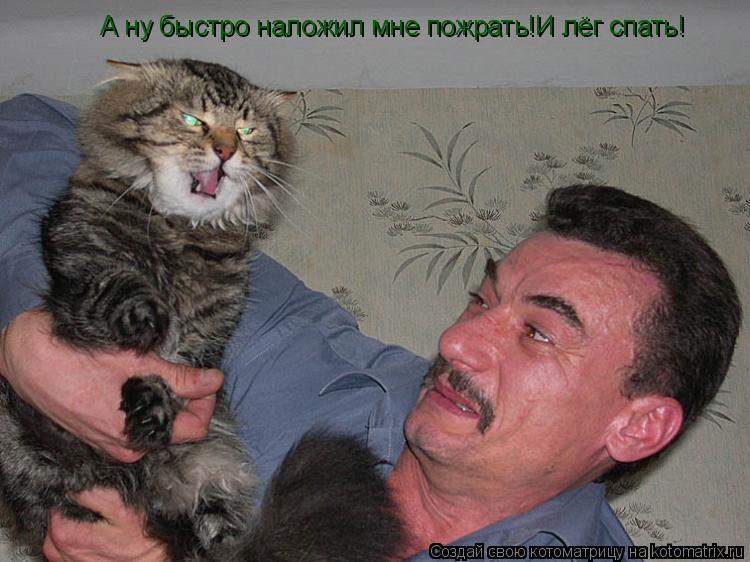 Котоматрица: А ну быстро наложил мне пожрать!И лёг спать!