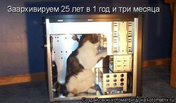 Котоматрица: Заархивируем 25 лет в 1 год и три месяца