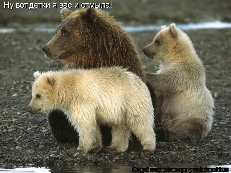 Котоматрица: Ну вот,детки я вас и отмыла!