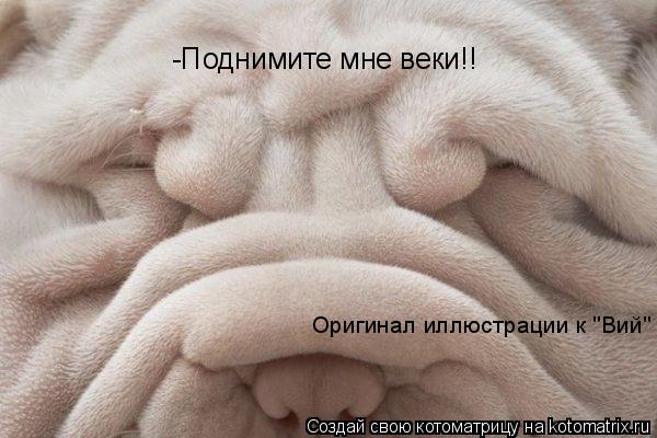 Котоматрица: -Поднимите мне веки!! Оригинал иллюстрации к "Вий"