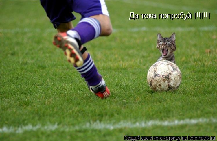 Котоматрица: Да тока попробуй !!!!!!!