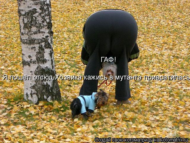 Котоматрица: Я пошёл отсюд.Хозяйка кажись в мутанта привратилась ГАФ!