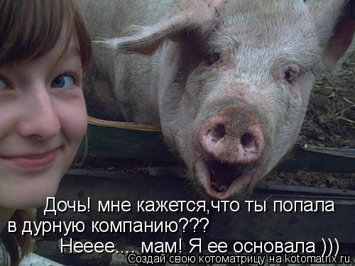 Котоматрица: в дурную компанию??? Дочь! мне кажется,что ты попала Нееее.... мам! Я ее основала )))