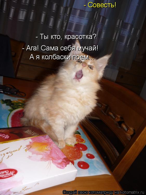 - Ты кто, красотка? - Совесть! - Ага! Сама себя мучай! А я колбаски поем...... Котоматрица: - Ты кто, красотка? - Совесть! - Ага! Сама себя мучай! А я колбаски поем...