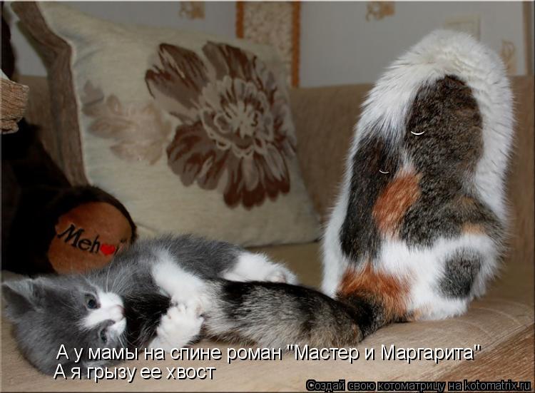 ) ) А у мамы на спине роман "Мастер и Маргарита" А я грызу ее хвост... Котоматрица: ) ) А у мамы на спине роман "Мастер и Маргарита" А я грызу ее хвост