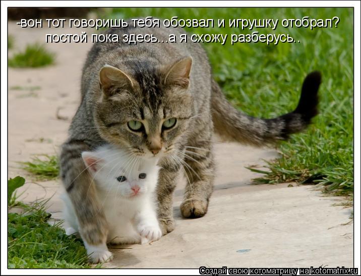 -вон тот говоришь тебя обозвал и игрушку отобрал? постой пока здесь...а я схожу разберусь..... Котоматрица: -вон тот говоришь тебя обозвал и игрушку отобрал? постой пока здесь...а я схожу разберусь..