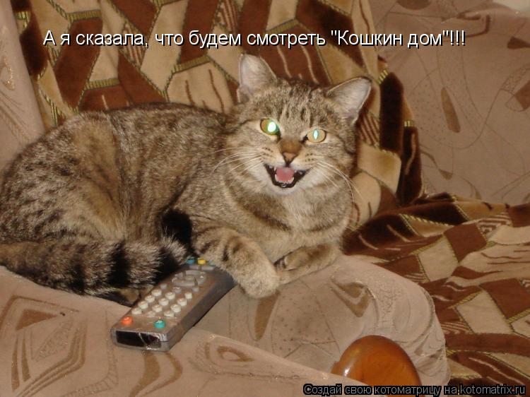 А я сказала, что будем смотреть "Кошкин дом"!!!... Котоматрица: А я сказала, что будем смотреть "Кошкин дом"!!!