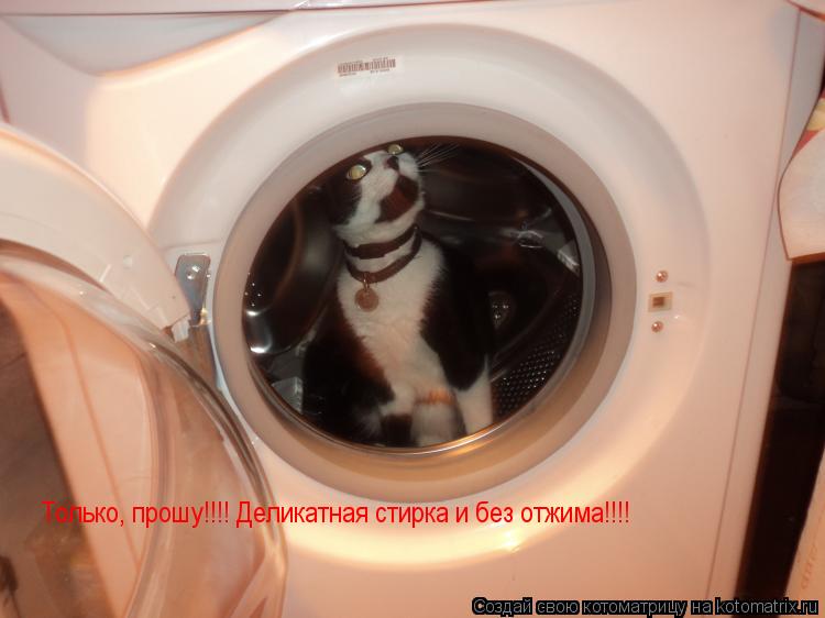 Только, прошу!!!!Деликатная стирка и без отжима!!!! Только, прошу!!!! Деликатная стирка и без отжима!... Котоматрица: Только, прошу!!!!Деликатная стирка и без отжима!!!! Только, прошу!!!! Деликатная стирка и без отжима!!!!
