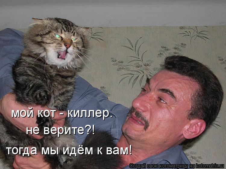 мой кот - киллер. не верите?! тогда мы идём к вам!... Котоматрица: мой кот - киллер. не верите?! тогда мы идём к вам!