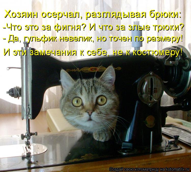 Котоматрица: Хозяин осерчал, разглядывая брюки: -Что это за фигня? И что за злые трюки? - Да, гульфик невелик, но точен по размеру! И эти замечания к себе, не 