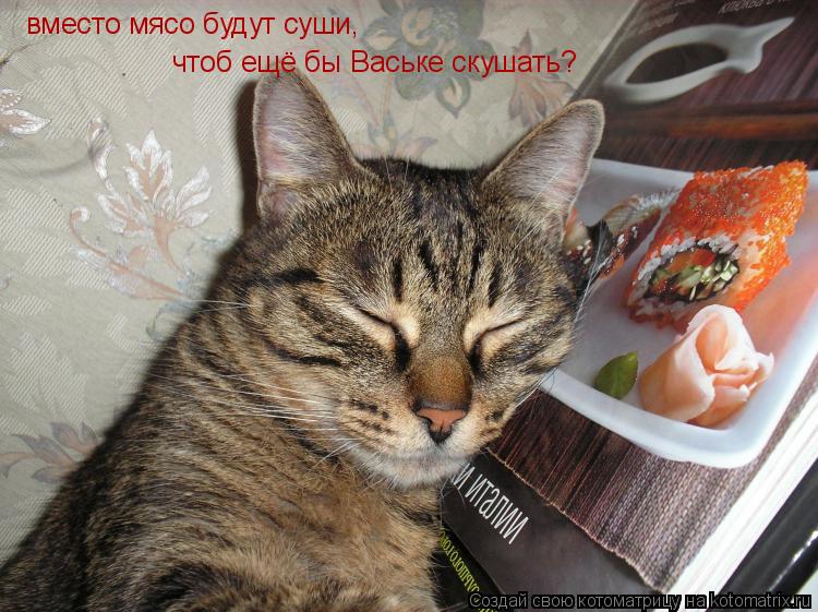 вместо мясо будут суши, чтоб ещё бы Ваське скушать?... Котоматрица: вместо мясо будут суши, чтоб ещё бы Ваське скушать?