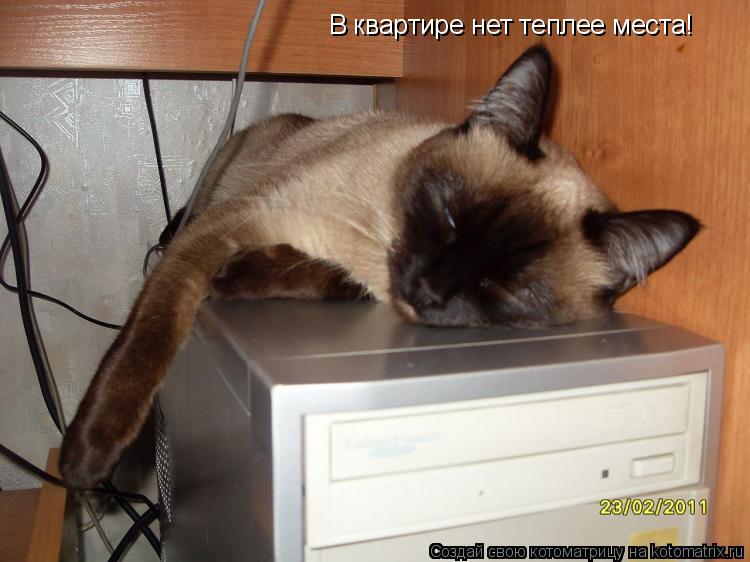 В квартире нет теплее места!... Котоматрица: В квартире нет теплее места!