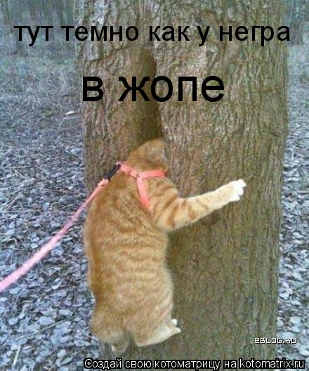 тут темно как у негра в жопе... Котоматрица: тут темно как у негра в жопе