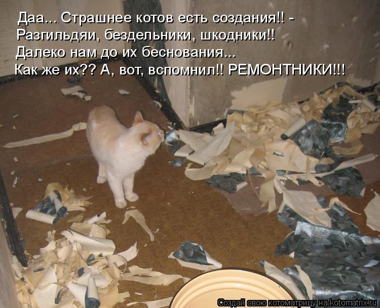Даа... Страшнее котов есть создания!! - Разгильдяи, бездельники, шкодники!! Далеко нам до их беснован... Котоматрица: Даа... Страшнее котов есть создания!! - Разгильдяи, бездельники, шкодники!! Далеко нам до их беснования... Как же их?? А, вот, вспомнил!! РЕМОНТНИК