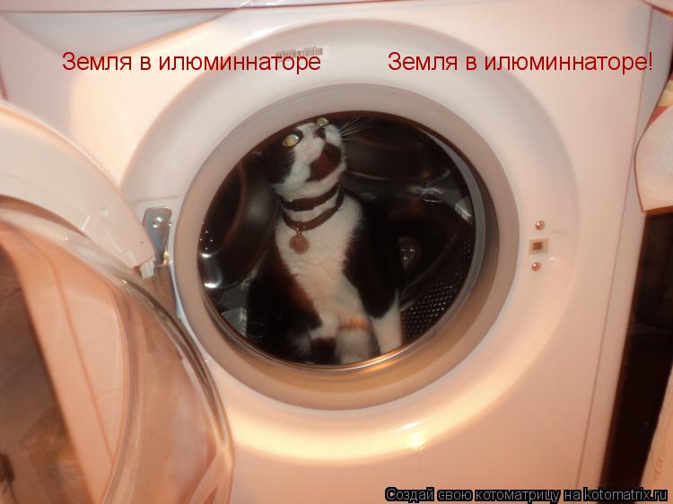 Земля в илюминнаторе Земля в илюминнаторе!... Котоматрица: Земля в илюминнаторе Земля в илюминнаторе!